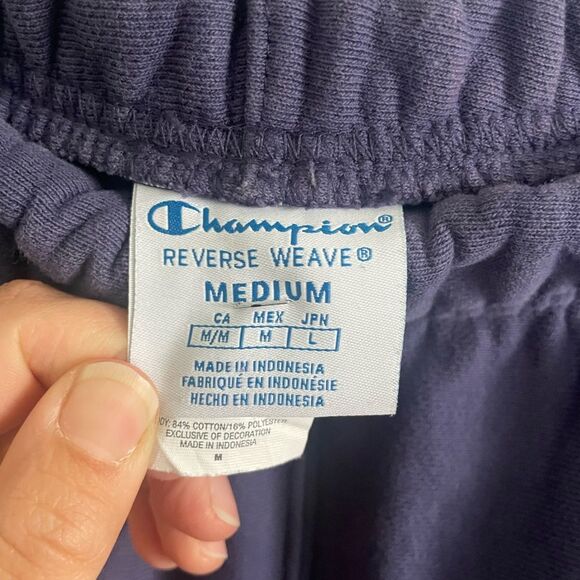 Champion mens Reverse Weave Purple Stripe Rib Trim Jogger Sweatpants - Picture 3 of 6